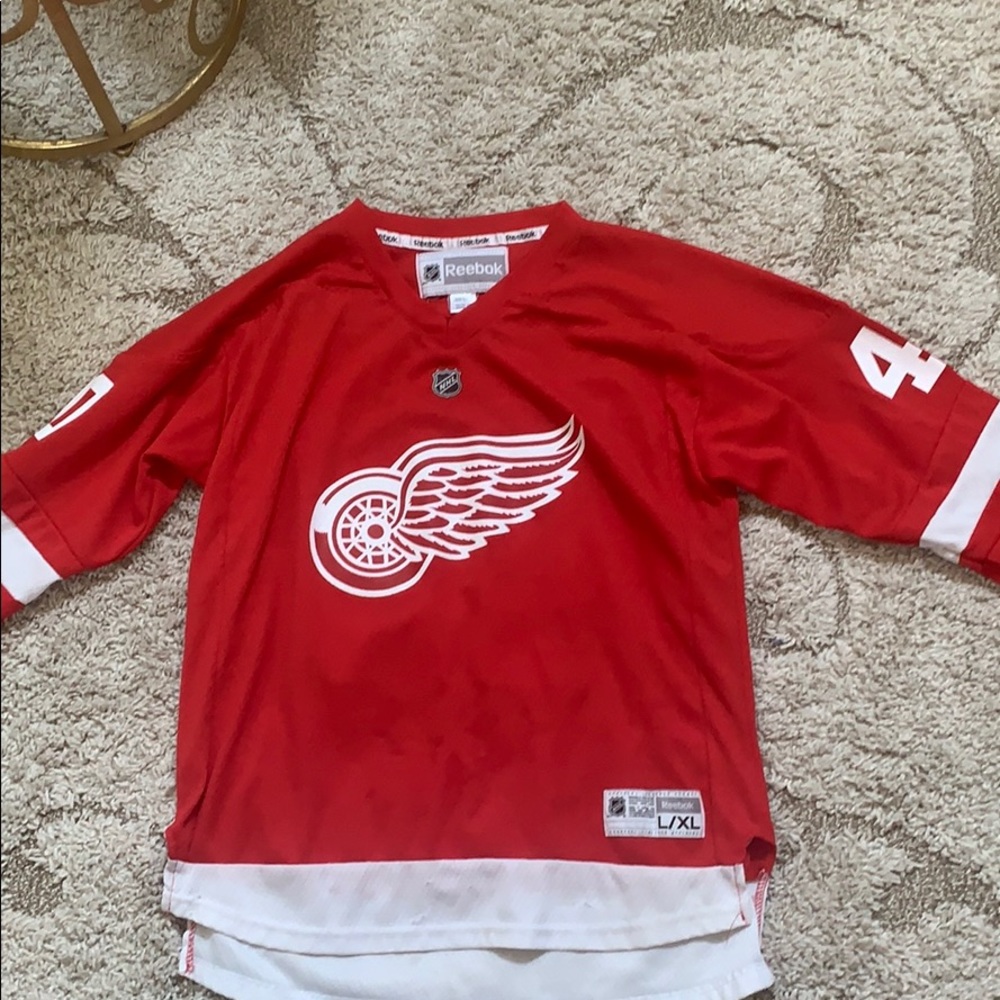 Redwings jersey number 40 zetterberg